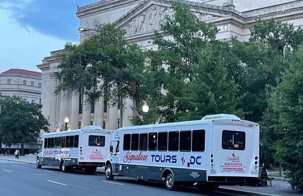 Cherry Blossom DC Tour with 10+ Stops and Optional Tickets