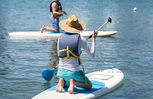 Paddleboard Adventure: Explore Marine Life in Condado Lagoon