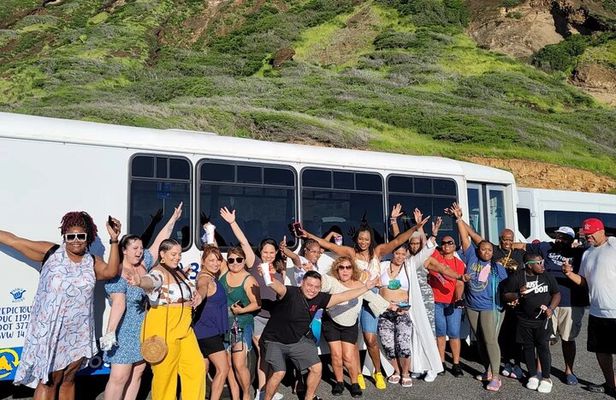Oahu Guided Circle Island Tour, Swim w/ Turtles, Dole, Blowhole