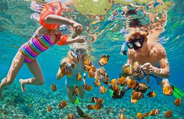 Giftun Island Snorkeling Trip from Hurghada