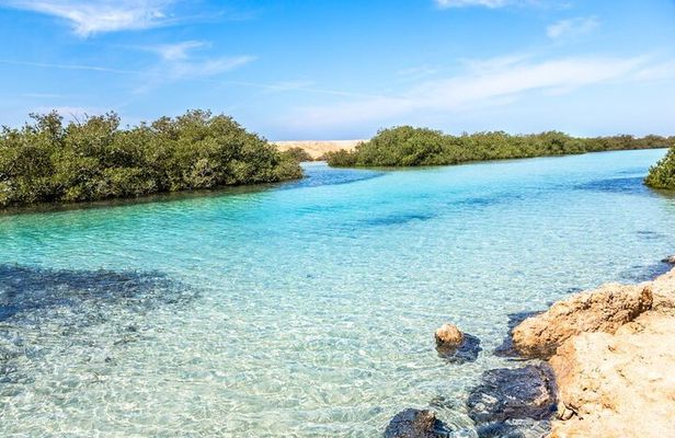 Ras Mohammed & White Island Snorkeling Tour by boat from Sharm El Sheikh