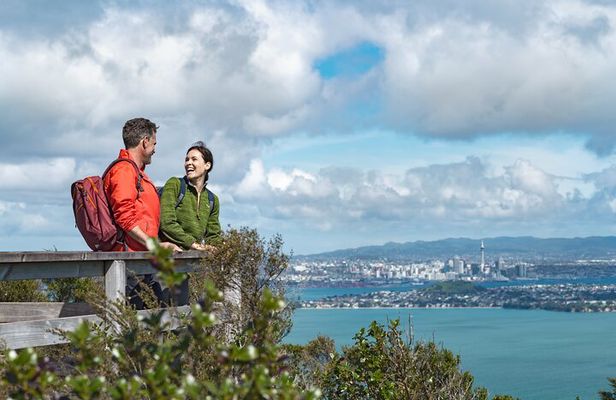Discover Auckland City Tour: The City of Sails