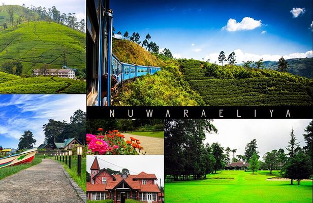 Day tour to Nuware Eliya (Littel England) From Kandy