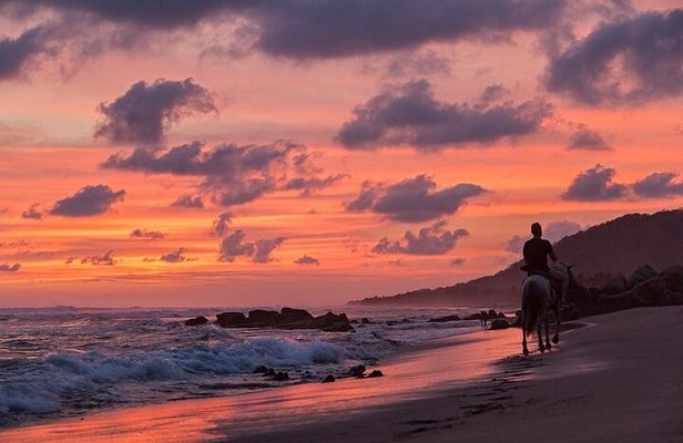 Troncones, Manzanillo Bay and Majahua Beach Tour