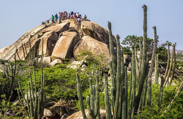 Aruba Create Your Own Island Tour