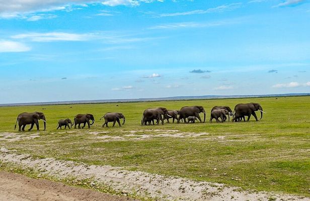 Day Tour To Amboseli National Park from Nairobi
