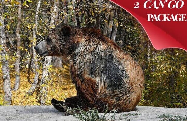 Yellowstone, Grand Teton, and Hot Springs: Small Group 5-Day Tour