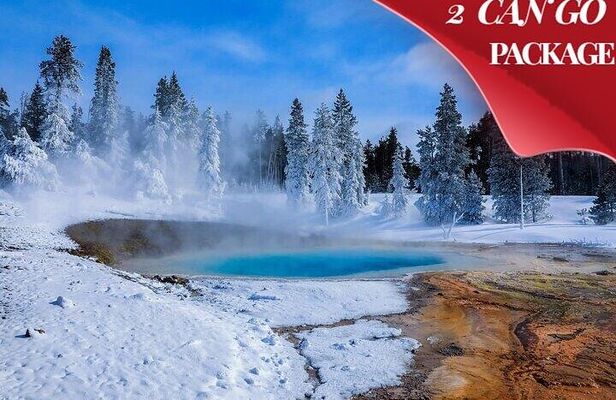 Yellowstone & Grand Teton National Parks Winter Tour: Small Group 4-Day Tour