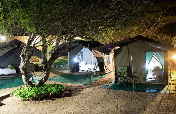 4 day Private Kruger Under Canvas Safari