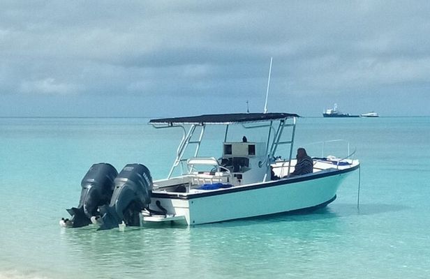 Private 4 hour Rose Island tour snorkeling fishing