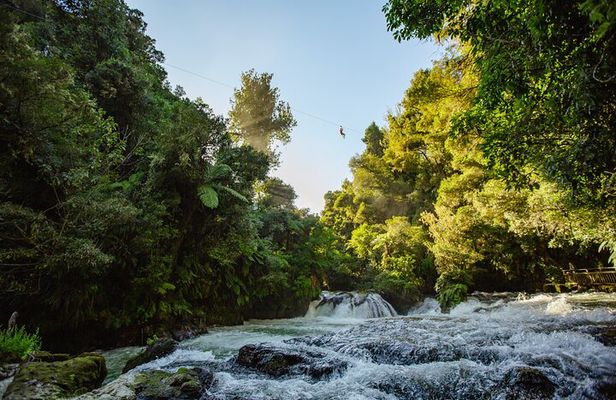Okere Falls Zipline Experience