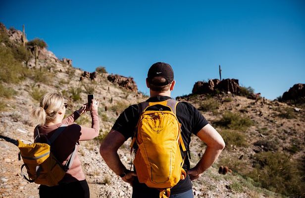 Sonoran Desert 1.5 Hour Private Hike for Families and Groups