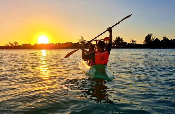Kayak Mangroves Sunrise Experience