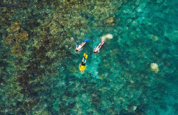 Magnetic Island Discovery Tour with Snorkeling & Paddle Boarding