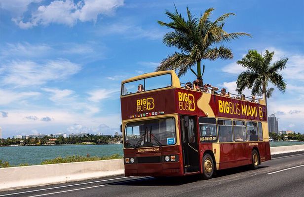 Best of Miami: Everglades, Bay Cruise, & Open-top Bus Tour