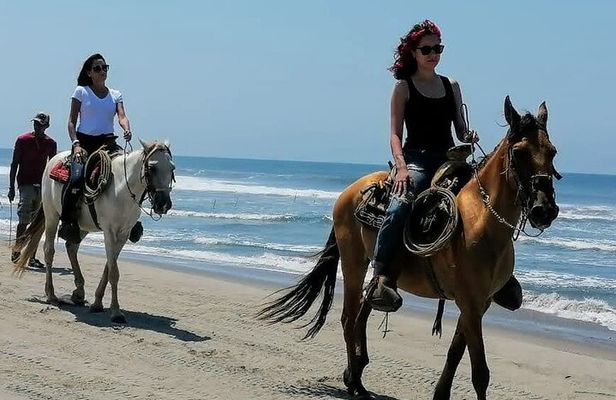 Afro-Mex Village Experience -Horseback Ride -Turtle Hatch & Crocs