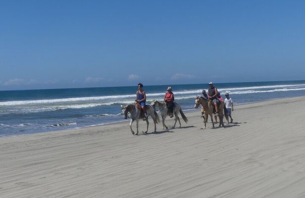 Afro-Mexican Village: Horseback Beach Ride, Crocs & Cliff Diver