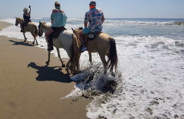 Boat Ride-Gentle Beach Beach Horseback Ride+Lunch-Crocs-Turtles