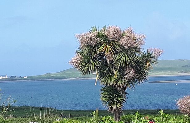 Ring of Kerry Private Tour