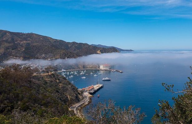 2 hour Inside Adventure Tour on Catalina Island