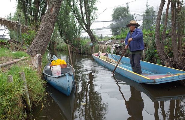 The City Green Exploring the Urban Eco Reserve of Xochimilco