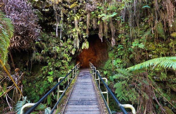 Volcanoes National Park: Guided, Small-Group Hike