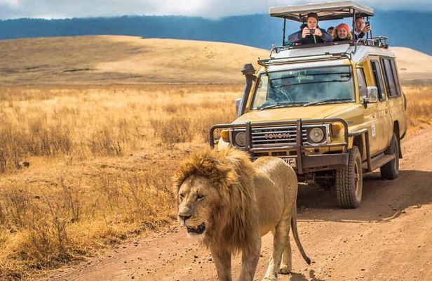 7 Days Private Tanzania Safari