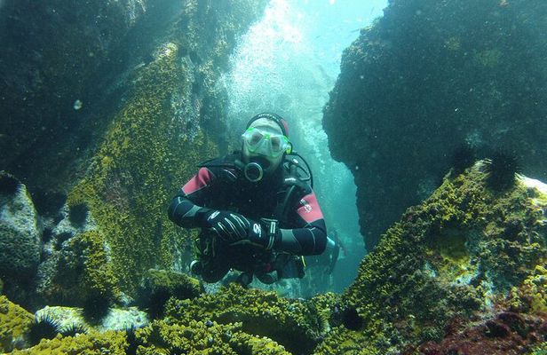 Rio's Best Dive Experience All Inclusive Scuba Diving Package!