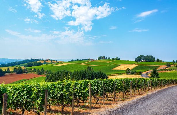 Wine History Tours in Willamette Valley Oregon