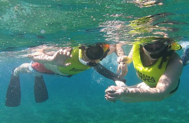 Small-Group Snorkeling Experience at Sea Garden