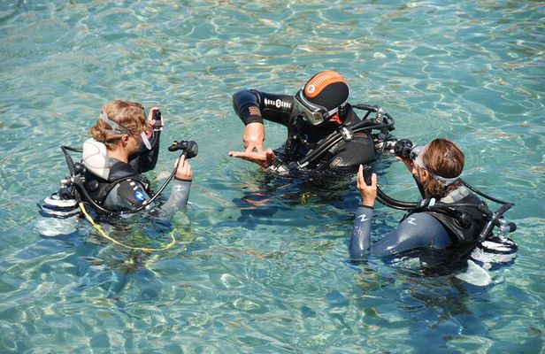 Discover Scuba Diving in the sea with the Blue Dolphin Team