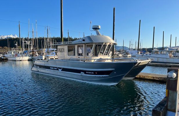 6 Passenger Whale Watching Adventure in Icy Strait from Hoonah AK