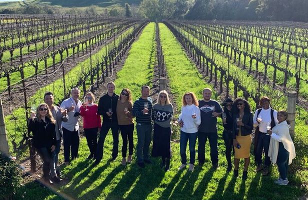Small Group: Ultimate Napa & Sonoma Wine Tour from San Francisco