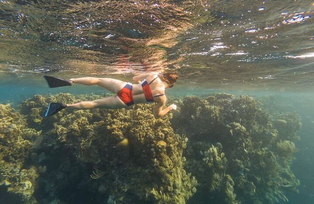 Guided Snorkeling Adventure in West Bay