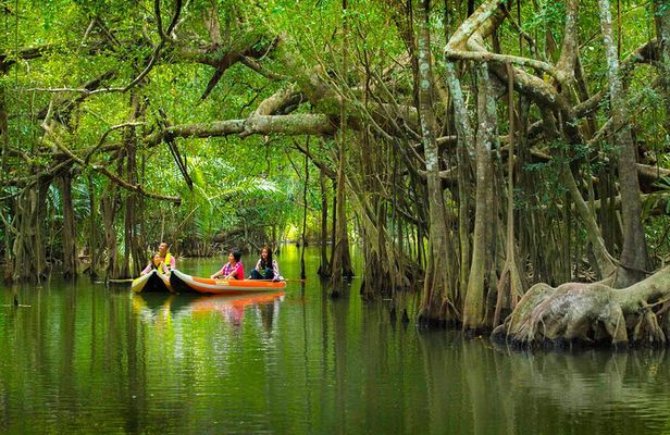 The Little Amazon and Sri Phang Nga Waterfall Full Day Tour From Khao Lak