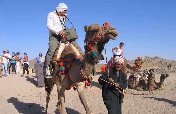Hurghada Safari Adventure: Fun for the Whole Family