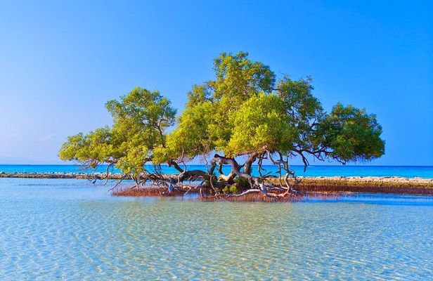 Discover Hamata Island With Snorkeling
