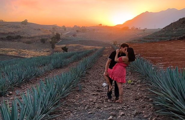 Tequila tour with tasting.