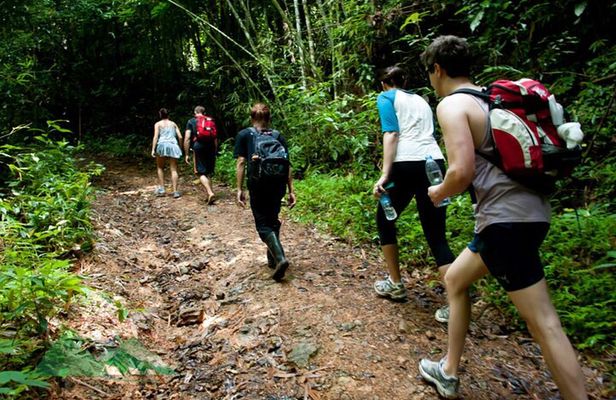 Khao Sok National Park Hiking and Bamboo Raft Tour From Khao Lak