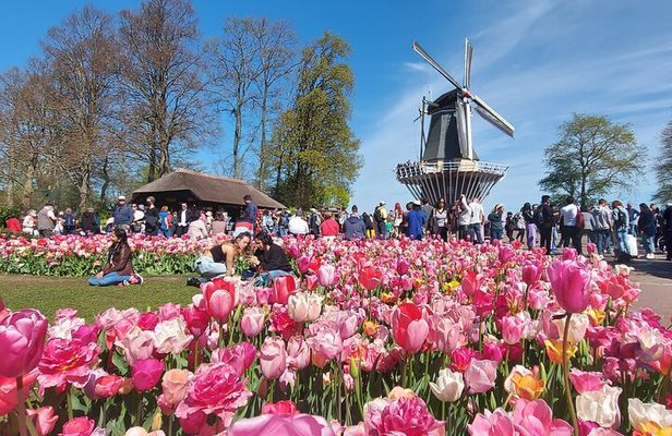 Keukenhof Luxury Private Tour (Max 7) from Amsterdam