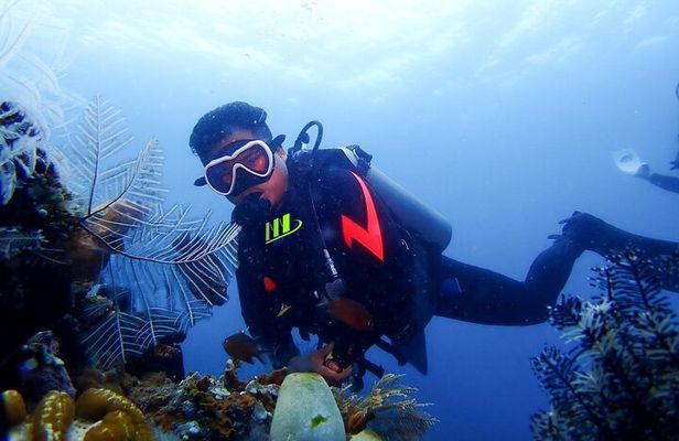 Bali Full Day Experience Scuba Diving Tour at Tulamben