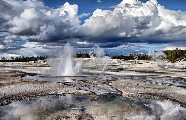 Yellowstone Lower Loop VIP Full-Day Private Tour with Lunch