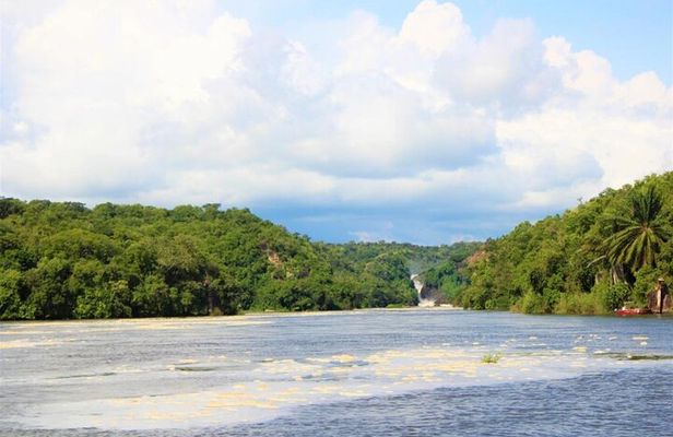 3 Days Murchison Falls National Park Safari & Rhino tracking