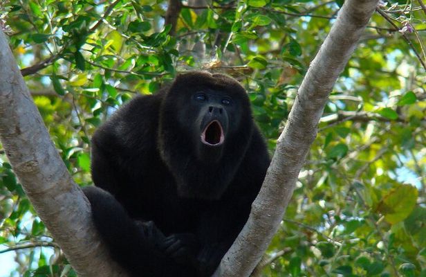 Private Tour from Guayaquil to Churute Ecological Reserve