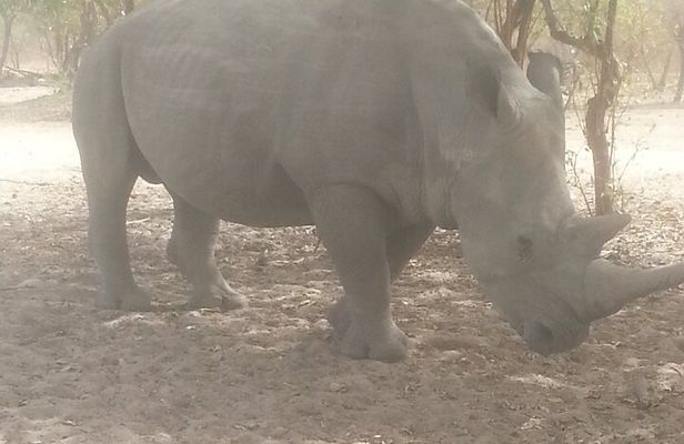 Safari Game Park