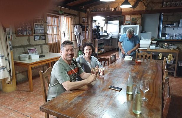 Tenerife Animal Farm Private Car Tour. Canarian Cheese and Wine
