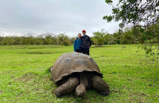 8-Day Galapagos Island Hopping Tour: Isabela, Giant Tortoises, and Snorkeling
