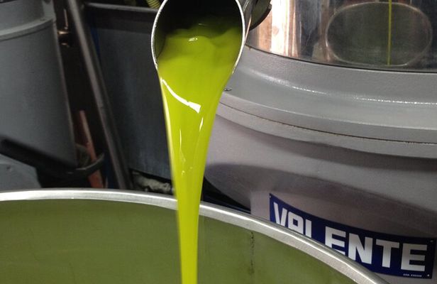 Olive Oil Private Full-Day Tour with Tasting in Valencia