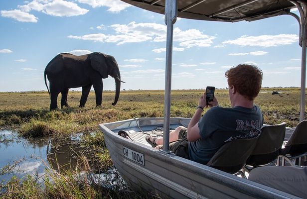 Chobe Day Trip