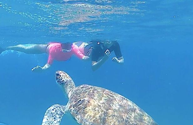 São Pedro experience (hiking & snorkeling with turtles)